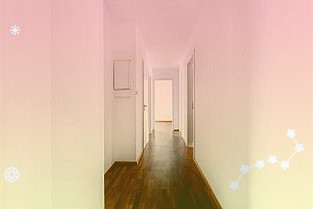 亞冷集團副總裁白光利:企業(yè)數(shù)智化需破“一把手工程”現(xiàn)狀,明確目標并將業(yè)務