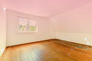 蘋果宣布全新AppleStore明日在倫敦開幕:以本地植物為設(shè)計(jì)靈感,設(shè)