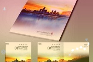 十年京東質(zhì)保只換不修:大華C900PLUS1T固態(tài)硬盤379元新低