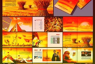 新寶股份002705公司簡(jiǎn)評(píng)報(bào)告:全年收入增長(zhǎng)穩(wěn)健海外表現(xiàn)優(yōu)異