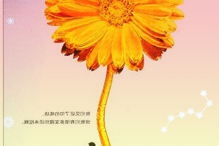 旭升股份603305:營收同比大幅增長客戶結(jié)構(gòu)逐步多元化